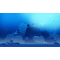 Neva: Devolver Deluxe / Nintendo Switch