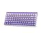 HERO84 HE White+Purple+Gradient+LIGHT JadeKing RGB AULA gasket keyboard