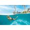 INTEX - Great White Shark (57525) / Toys