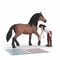 Schleich - Happy Horse Hospital (42787) / Toys