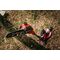 18V GP-LC 18/20 LI T BL-SOLO 3410971 EINHELL pole saw