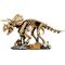 LEGO JURASSIC WORLD 77985 Dinosaur Fossils: Triceratops