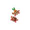 LEGO DISNEY 43293 Kakamora