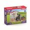 Schleich - Horse Club - Box with Horse Club Tori & Princess (42437) / Toys