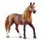 Schleich - Paso Peruano Mare (13953) / Toys