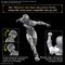 30MF - Rosan Assassin - Model Kit