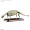 PLANNOSAURUS - Plannosaurus Ankylosaurus - Model Kit