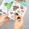 MOANA - Magnets Set