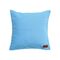 MY NEIGHBOR TOTORO - Blue Totoro - Cushion 45x45cm