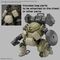 30MM - 1/144 bEXM-6 Roundnova I - Model Kit