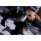 TOKYO REVENGERS - Manjiro Sano - Figure King Of Artist 13cm