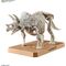 DINOSAUR - New Dinosaur Plastic Triceratops (Tentative) - Model Kit