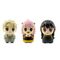 SPY X FAMILY - Squish Hero - Assortiment 16 Figures 7.6cm