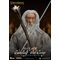 Lord of the Rings Dynamic 8ction Heroes Action Figure 1/9 Gandalf the Grey 21 cm