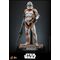 Star Wars: The Clone Wars Action Figure 1/6 212th Attack Battalion Clone Trooper Deluxe Version 30 cm
