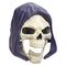 Masters of the Universe 2026 Movie Chronicles Roleplay Replica Skeletor's Mask *German Version*