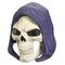 Masters of the Universe 2026 Movie Chronicles Roleplay Replica Skeletor's Mask *German Version*