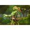 Teenage Mutant Ninja Turtles x Usagi Yojimbo Ultimate Action Figure Michelangelo 18 cm