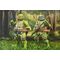 Teenage Mutant Ninja Turtles x Usagi Yojimbo Ultimate Action Figure Michelangelo 18 cm