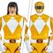 Mighty Morphin Power Rangers Action Figure Auto-Morphin Yellow Ranger 12 cm