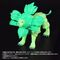 Transformers: Beast Wars II New Legends Action Figure NL-01 Green Lioconvoy 17 cm