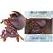 Unicorno x Arcane Window Box Figure Herald Viktor (Special Edition) 7 cm