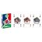 World Soccer Stars No 1 Playing Cards *English Version*