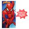Marvel Spiderman beach set