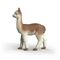 Schleich - Alpaca (14928) / Toys