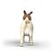 Schleich - Boer Goat (14929) / Toys