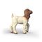 Schleich - Boer Goat Kid (14930) / Toys