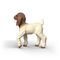 Schleich - Boer Goat Kid (14930) / Toys