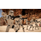 Star Wars Outlaws (Special Edition) / PlayStation 5