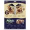DISNEY - Lorcana - Portfolio - Iconic Mickey & Minnie