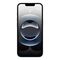 Apple iPhone 16e 15.5 cm (6.1") Dual SIM iOS 18 5G USB Type-C 256 GB White
