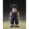 Dragon Ball Z S.H.Figuarts Action Figure Son Gohan (Z-Fighters) (Limited Edition Z-Fighters Group Base Ver. A) 11 cm
