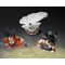 Dragon Ball Z S.H.Figuarts Action Figure Son Gohan (Z-Fighters) (Limited Edition Z-Fighters Group Base Ver. A) 11 cm
