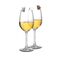 Winkee - Dog Glass Markers - Assorted Colors / Gadgets