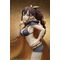 Re:ZERO -Starting Life in Another World- PVC Figure 1/7 Shaula 25 cm