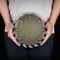 Doom: The Dark Ages Wall Mount Shield Saw 25 x 25 cm