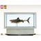 Jaws Maquette 1/18 Jaws Bronze 60 cm