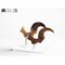 Jurassic Park ECC Elite Creature Line Statue Velociraptor Foot Claw and Fossil Claw Set 20 cm