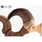 Jurassic Park ECC Elite Creature Line Statue Velociraptor Foot Claw and Fossil Claw Set 20 cm