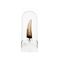 Jurassic Park III Prop Replica 1/1 Spinosaurus Tooth 14 cm