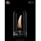 Jurassic Park III Prop Replica 1/1 Spinosaurus Tooth 14 cm