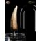 Jurassic Park III Prop Replica 1/1 Spinosaurus Tooth 14 cm