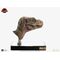 The Lost World: Jurassic Park Replica Bust 1/1 Junior T-Rex Prop (Reproduction) 39 cm
