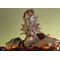 Dark Souls Statue Dragon Slayer Ornstein (Reproduction) 79 cm