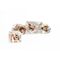 FanRoll  Dice Set Rose (7)