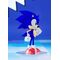 Sonic the Hedgehog Pop Up Parade Sonic the Fighters Ver. 14 cm